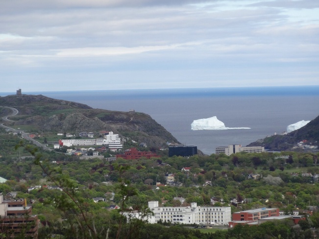 Icebergs in the Harbour St. John's, Newfoundland and Labrador Canada