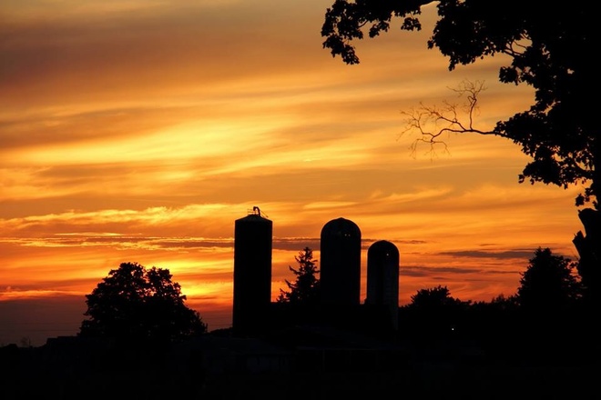 Farm Sunset #3 Woodstock, Ontario Canada