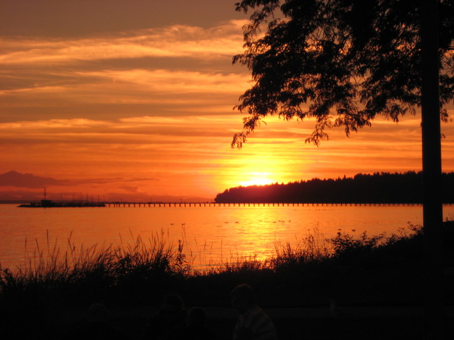 Sunset Melt Surrey, BC