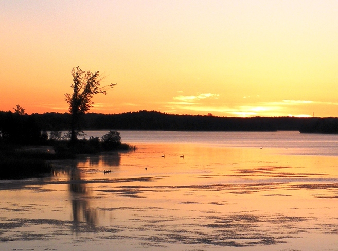 Island lake sunrise Orangeville, ON