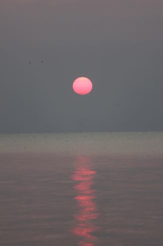 Cool rising sun. Puce, Lakeshore, ON
