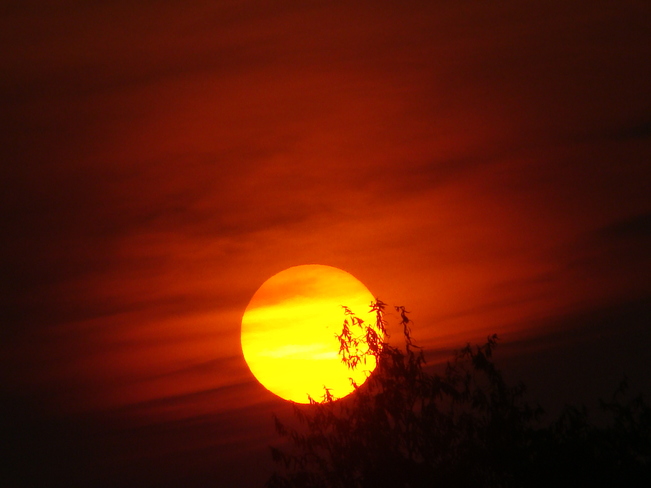 Our sun through a smoky sky at 8 p.m. Kelowna, BC