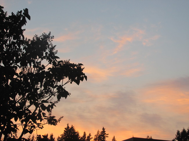 pink sky Surrey, BC