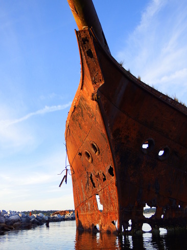 Rusty remains of the Royston Wrecks 3966-3976 Marine Drive, Royston, BC V0R 2V0, Canada