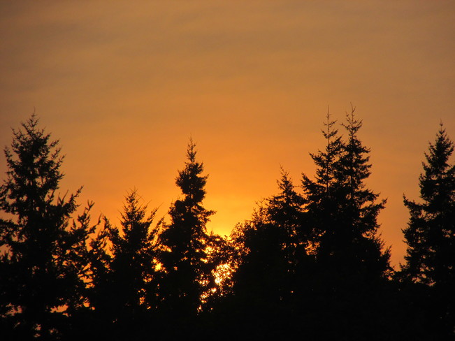 sunset Surrey, BC