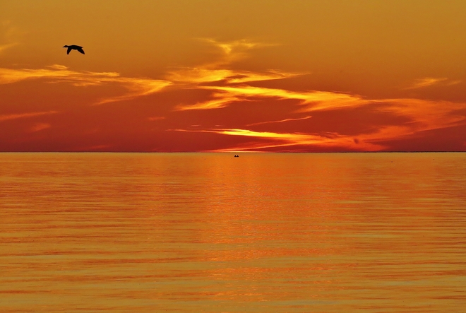 Duck a l'orange sunset. North Bay, ON