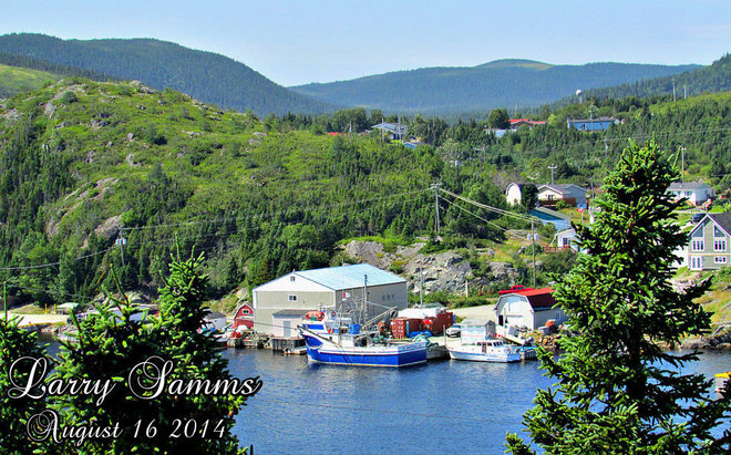 "Sunny Afternoon" Fleur de Lys, Newfoundland and Labrador Canada