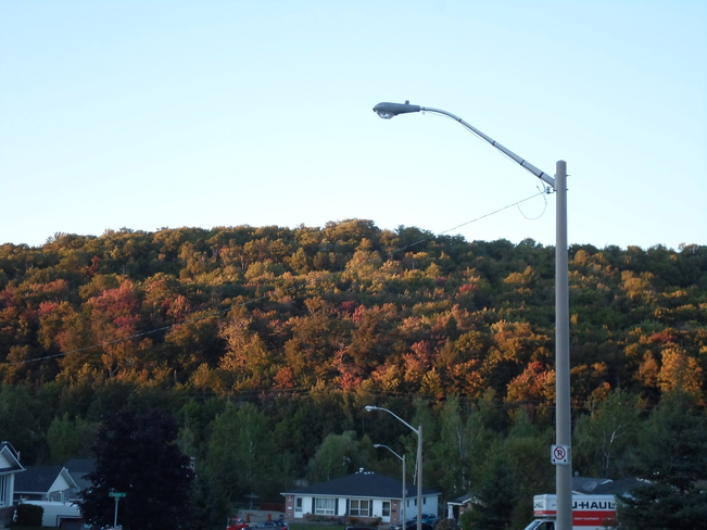 Sign of FALL/Colours of trees/CHANGING E.L. Elliot Lake, Ontario Canada