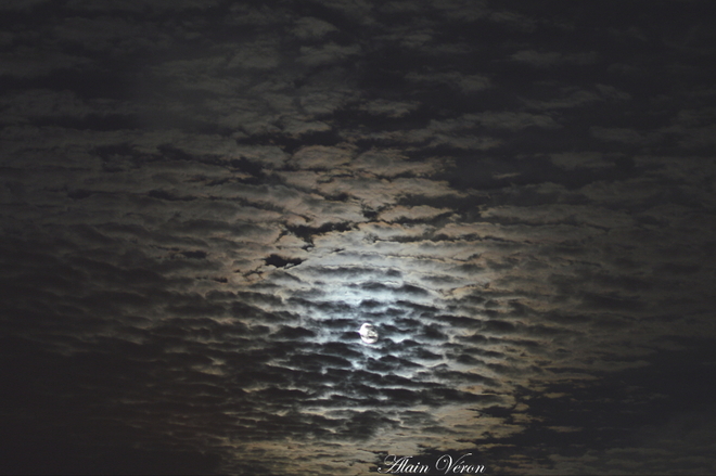 Sky Moon 09-12-22334 Bradford West Gwillimbury, ON