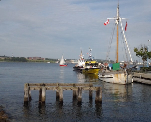 Halifax Harbour Halifax, NS