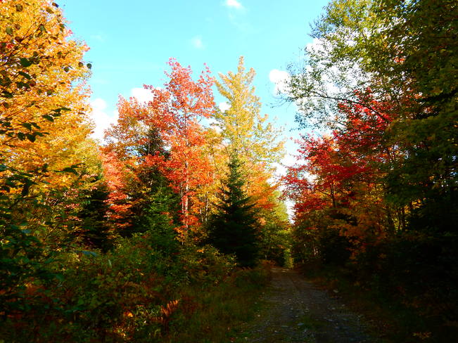 Fall is here!!! Maltais, NB