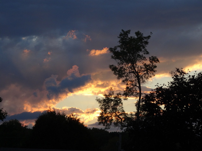 Sunset over Lawrence Park Kingston, ON