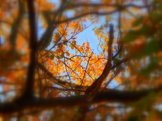 Autumn in the Annapolis Valley Kingston, NS