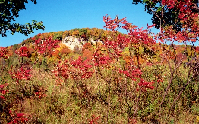 Fall on my Escarpment! Speyside, ON