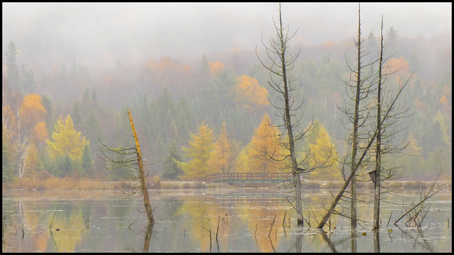 A wet Sheriff Creek, Elliot Lake. Elliot Lake, ON
