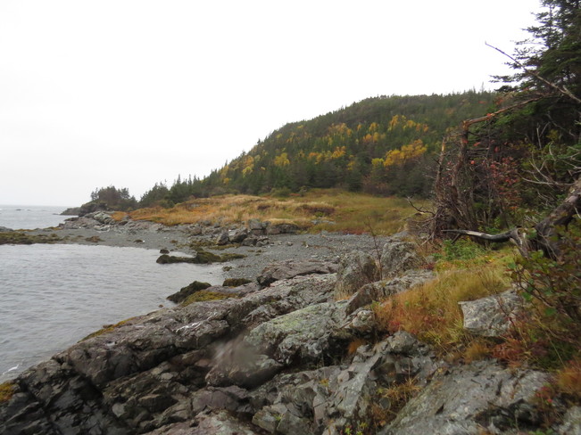 Fall colors Rock Harbour, Newfoundland and Labrador