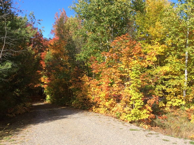 fall colors Chapleau, ON