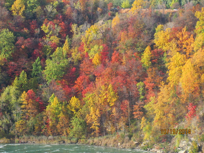 Fall Color Niagara Falls, ON