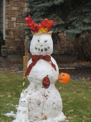 my Neighbors made a snow man Sherwood Park, AB