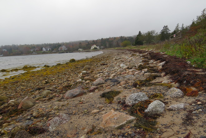 Low Tide Means Walking The Walk Schnare Cove, Chester, NS