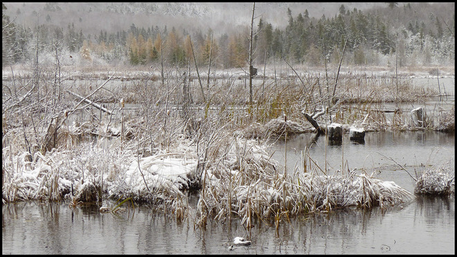 Snow, Elliot Lake. Elliot Lake, ON