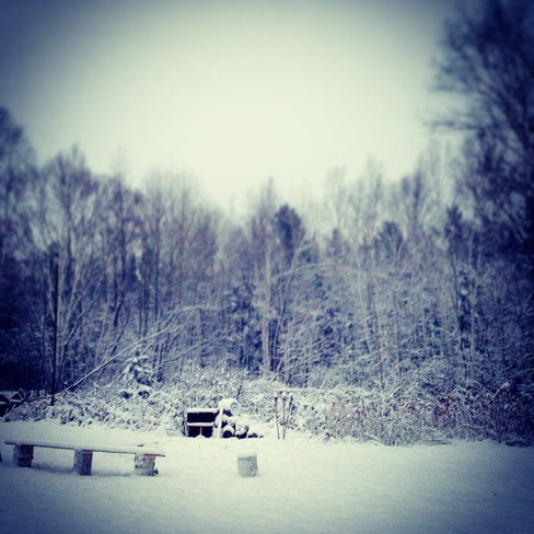 First Snow Fall! Backyard Bliss! Wahnapitae, Greater Sudbury, ON