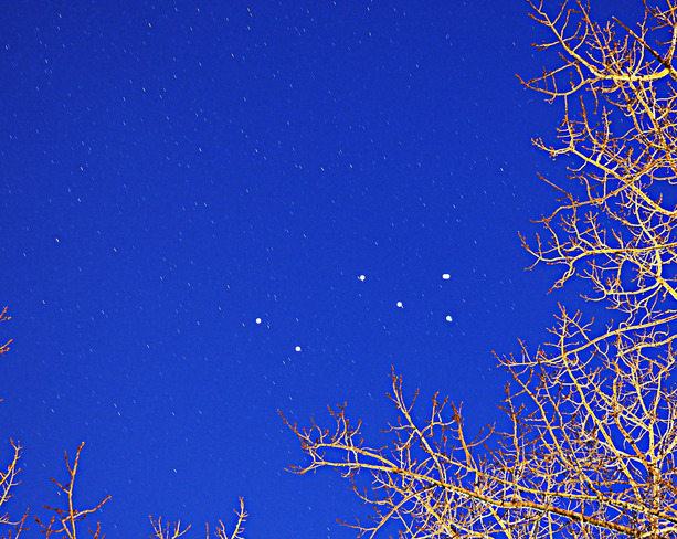 The small constellation Lyra (Lyre), with the main stars highlighted, Winnipeg, MB