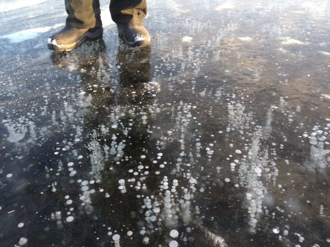 Bubbles frozen in time. Sidney, MB