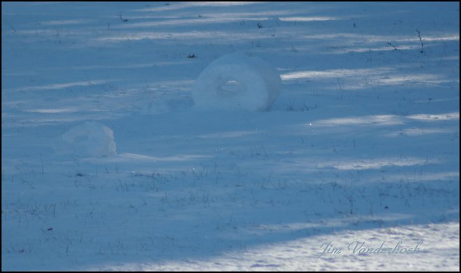 Snow Rollers Port Colborne, ON