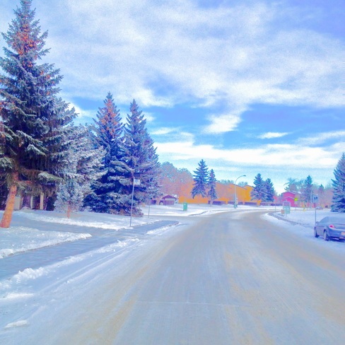 Frosty Road Ahead Twin Brooks, Alberta Canada