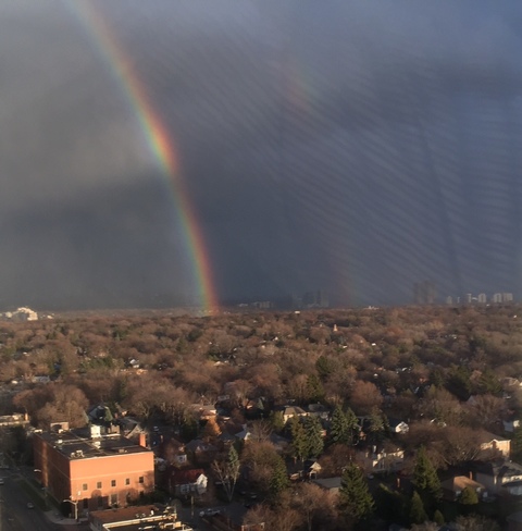 Rainbow over Toronto Toronto, ON