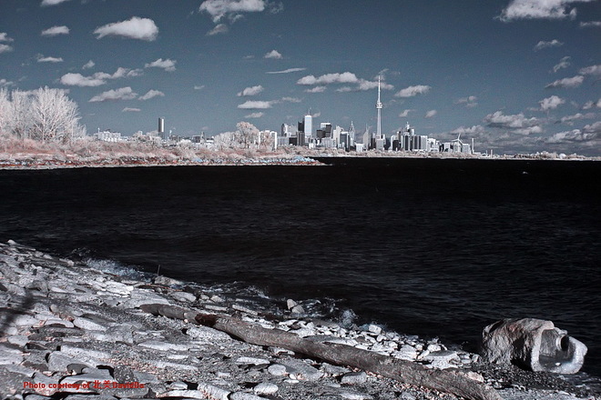 Infrared photography: Lake Ontario 170-202 Humber Bay Park Road West, Etobicoke, ON M8V 3X7, Canada