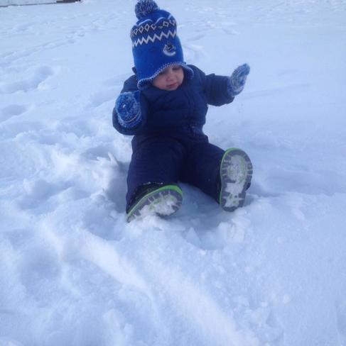Carter playing in snow Novemeber 2014 Airdrie, AB