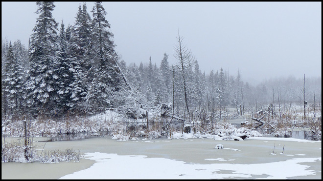 Snowy day, Elliot Lake. Elliot Lake, ON