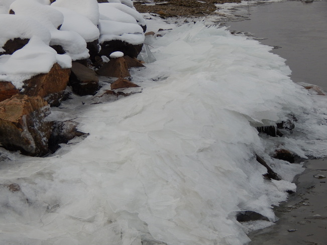 The Ice Piled up from the Restigouch River onto the banks of the Boom. Atholville, NB