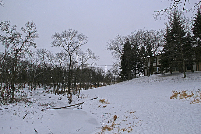 Beside Bunn's Creek on a cold December afternoon: Winnipeg, MB