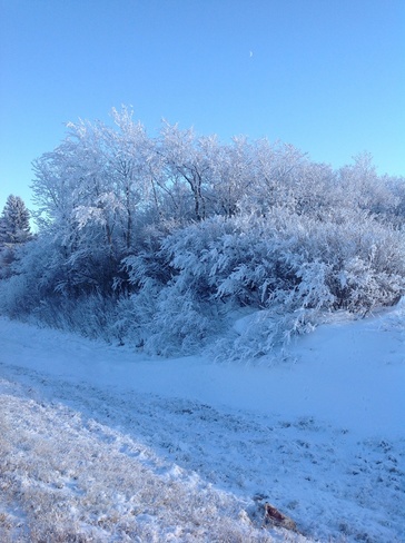Winter Wonderland 121 Simcoe County Road 27, Elmvale, ON L0L 1P0, Canada