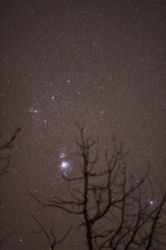 Astronomy photos from January 14 Diamond T Loop, Bragg Creek, AB T0L 0K0, Canada