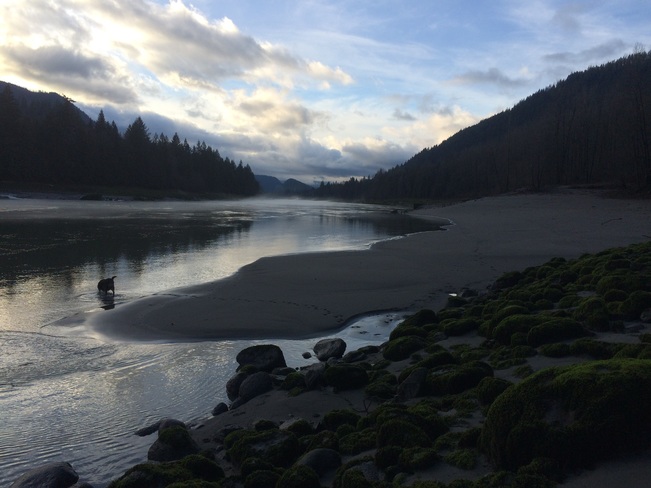 fraser river Squeah, British Columbia Canada