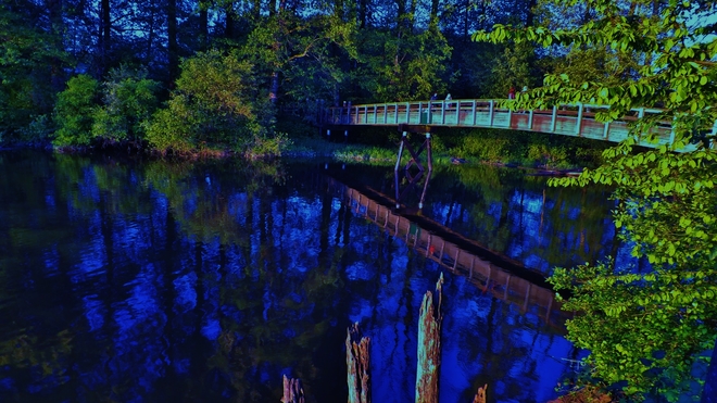 The bowl legged bridge in the land of walking Bridges or carrying to many LBS Kanaka Creek Regional Park, Maple Ridge, BC