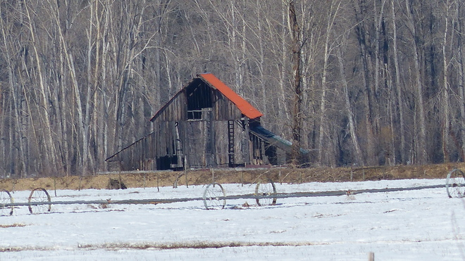 Forgotten barn Grand Forks, BC