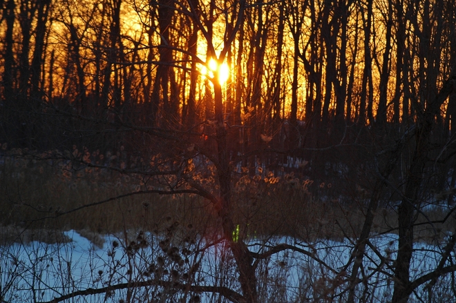A The Sun Sets... Scarborough, Toronto, ON
