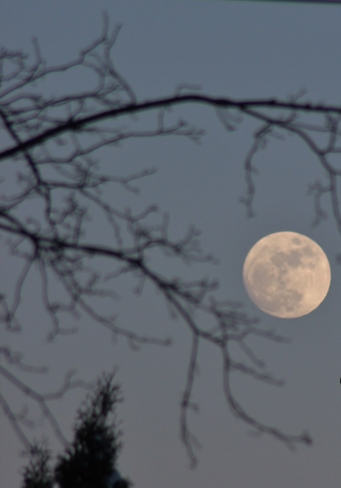 February moon rise Seaforth, Huron East, ON