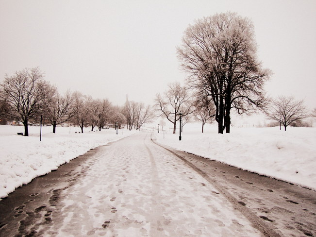 Suivre la route vers une nouvelle saison.... Plaines d'Abraham, Avenue Wilfrid-Laurier, Québec, QC