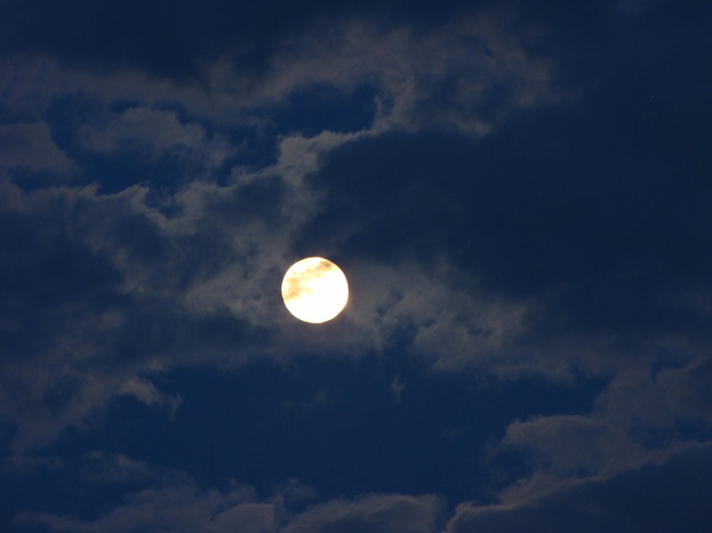 Full Moon Over Rural Ottawa Ottawa, ON
