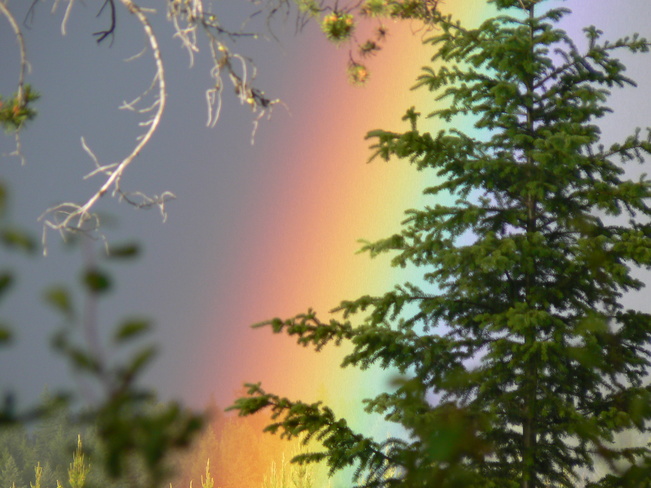 Rainbows in the yard Kimberley, BC