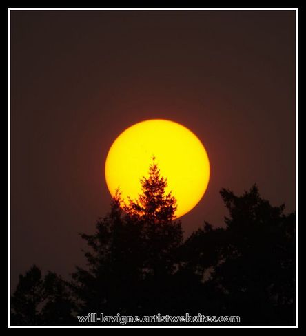 SUNSET @ GOWLLAND HARBOUR Quadra Island, BC