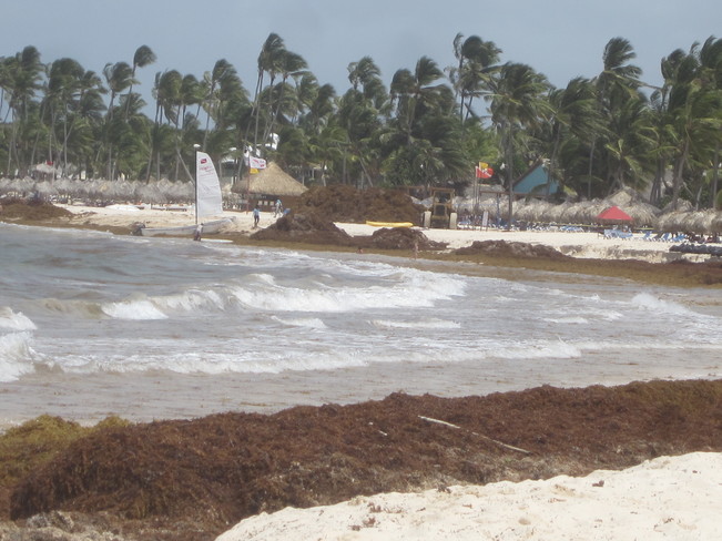 Plage de Puntacana la semaine derniÃ¨re Punta cana Bavaro baie
