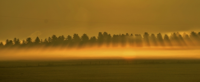 One fine evening...True Nature at its best Blackstrap Provincial Park, Dundurn, Saskatchewan