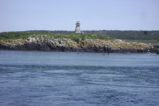 brier island, nova scotia Nova Scotia